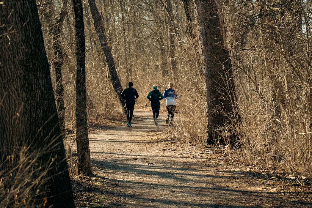 Small group of runners training on a wooded path.